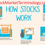 How Do Stocks Work for Beginners